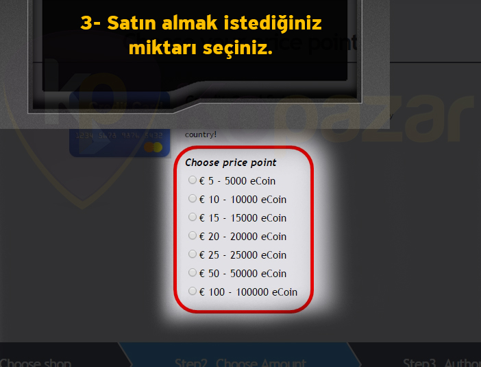 Cabal Online E Coin yükleme adım 3: kupon/kod giriş alanı