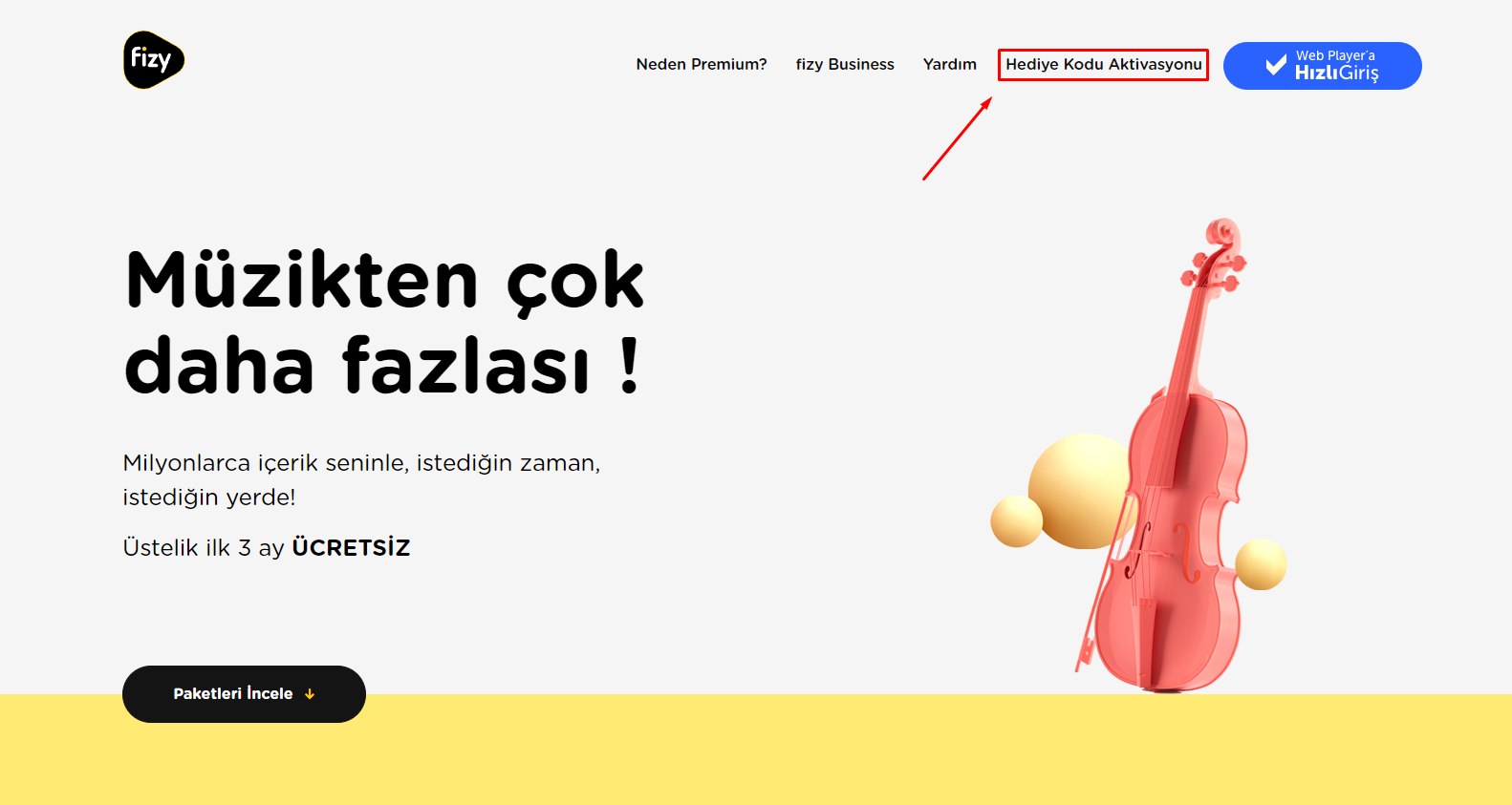 Fizy Premium kullanım adımı 1