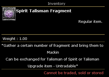 What is the Spirit Talisman Fragment in Knight Online?