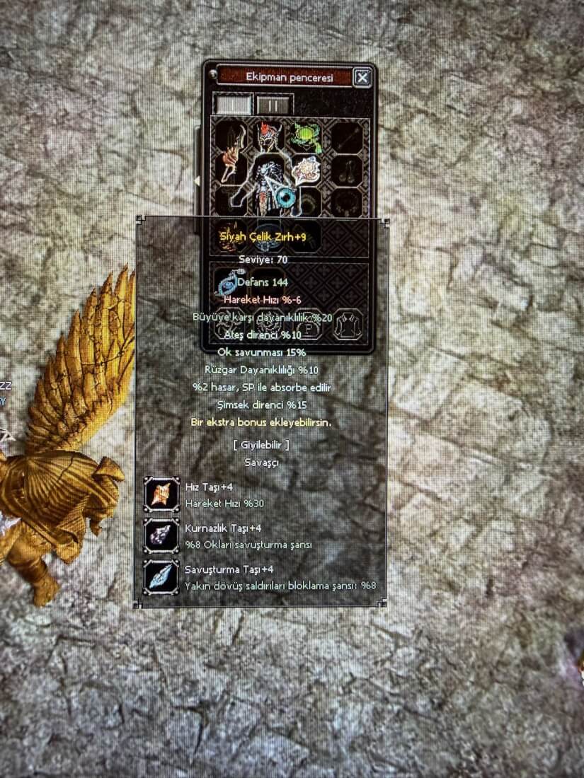 Siyah Celik +9  En Elit Zirh Butun Farmlik Sav